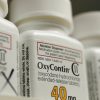 Oxycontin for sale online